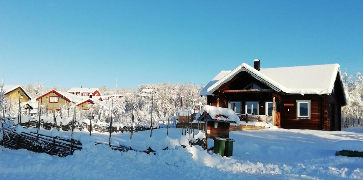 Cabin In Bruksvallarna Eksteriør billede